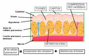 slim-roller-cellulite